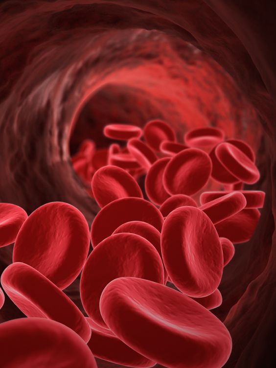 علل بیماری قلبی عروقی
