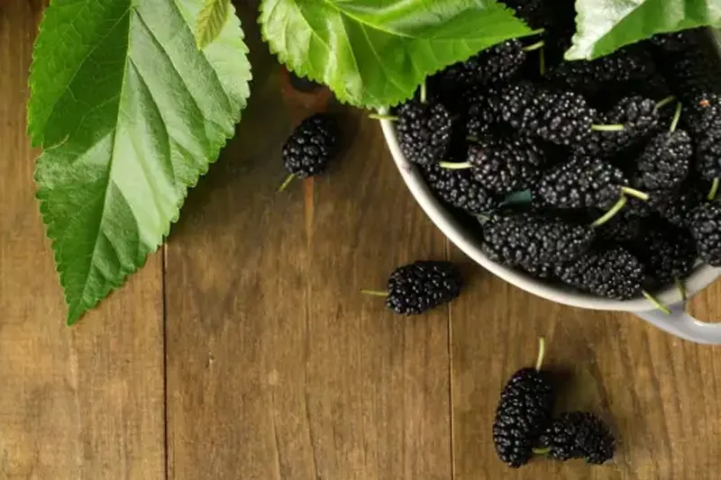 میوه برای افزایش گردش خون