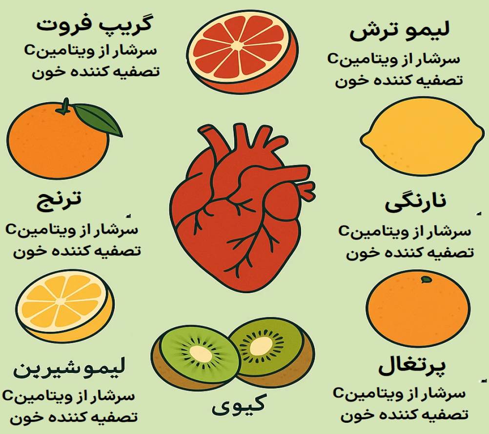 میوه های رقیق کننده خون1