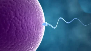 کمبود کدام ویتامین ها باعث ناباروری میشود؟