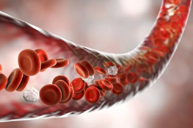 The long term effect of regular running on reducing blood viscosity