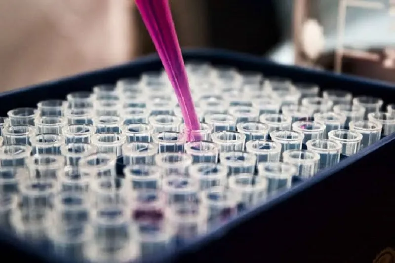 The role of MCHC in assessing health and blood concentration