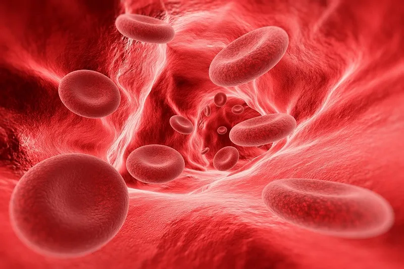What is polycythemia vera