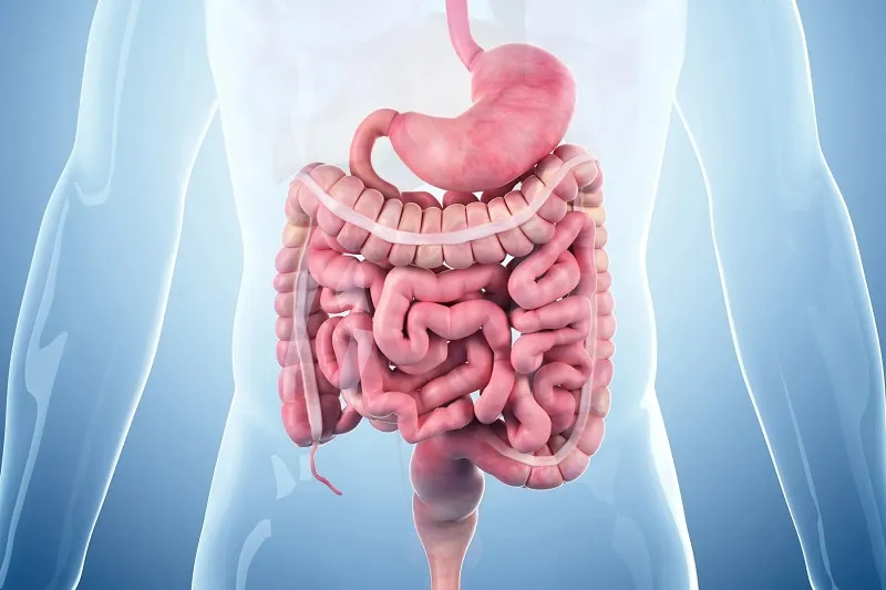 1 Digestive diseases and iron malabsorption